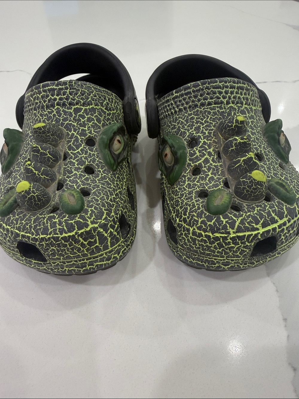 Crocs alligator